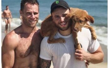 Gus Kenworthy Rescues Another Puppy From Korea