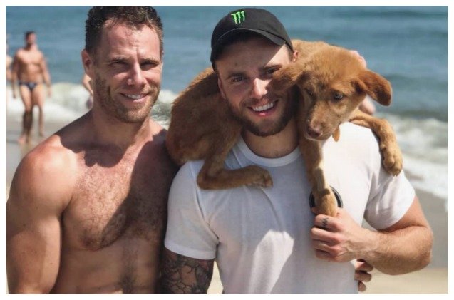 gus kenworthy rescues another puppy from korea