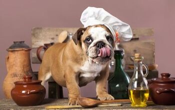 4 Tasty Tips for People Who Want to Cook for Their Dogs