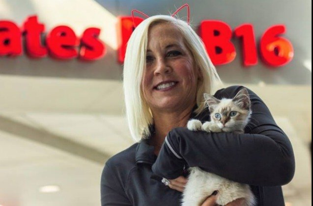 kitten cuddle at charlotte airport is a purr fect pre flight treat