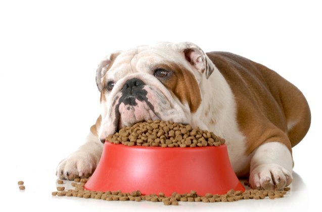 is your dogs food damaging their heart