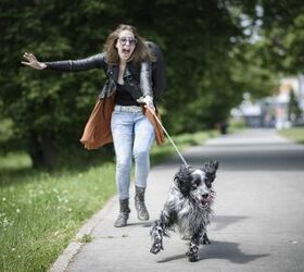 How To Stop Your Dog From Pulling During Walks