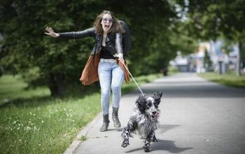 How To Stop Your Dog From Pulling During Walks