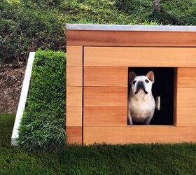 Canines Can Go Green With a Sustainable Dog House