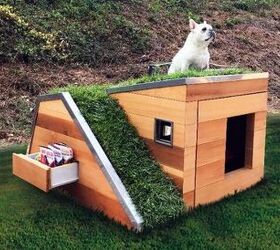canines can go green with a sustainable dog house