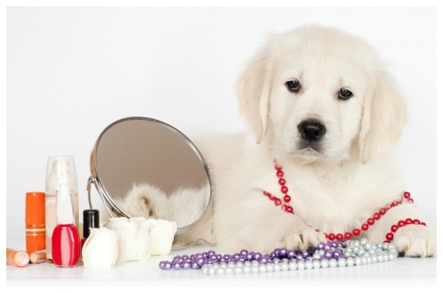 california to become first state with animal cruelty free cosmetics la