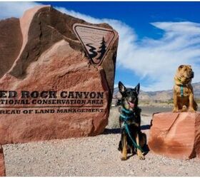 The Ultimate Pet-Friendly Road Trip Lets You Plan Epic Bucket List ...