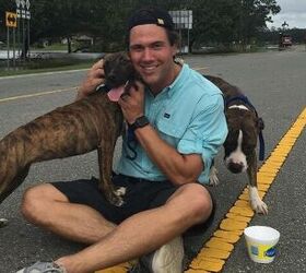 News Reporter Helps Save Dogs Left for Dead in Hurricane Florence