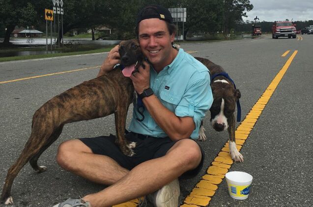 news reporter helps save dogs left for dead in hurricane florence