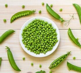 are frozen peas good for dogs