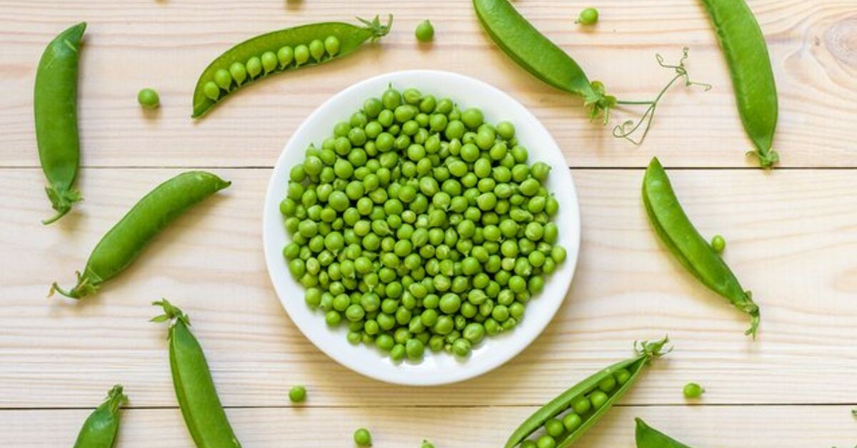 Can Rabbits Eat Snow Peas - WilliamQuationesed