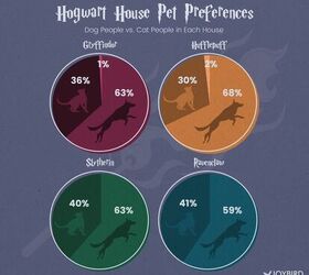 expecto pet ronum survey reveals pet preferences of harry potter fans