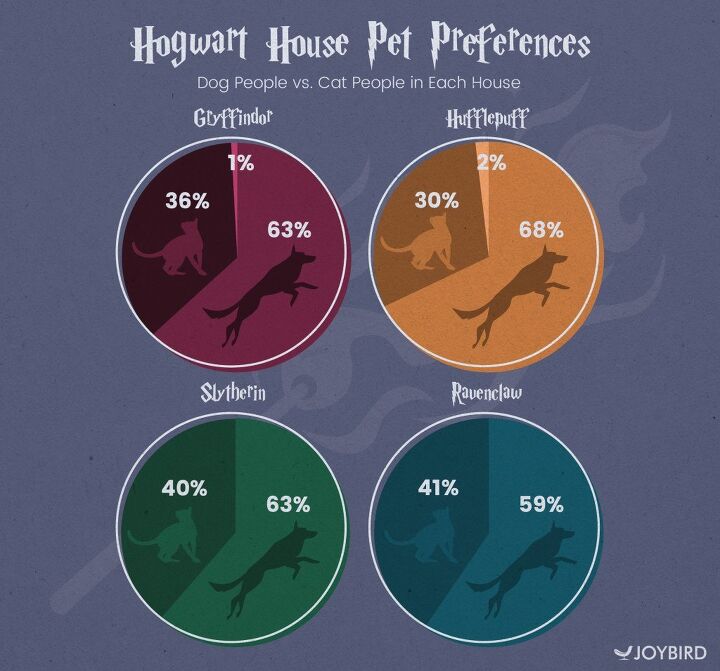 expecto pet ronum survey reveals pet preferences of harry potter fans