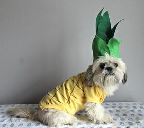 DIY Pineapple Dog Halloween Costume