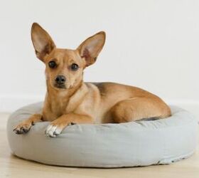 Go Green: This Stylish Pet Bed Is Made From Recycled Plastic Bottles