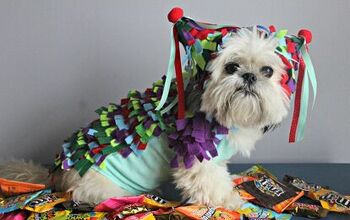 DIY Pinata Dog Halloween Costume