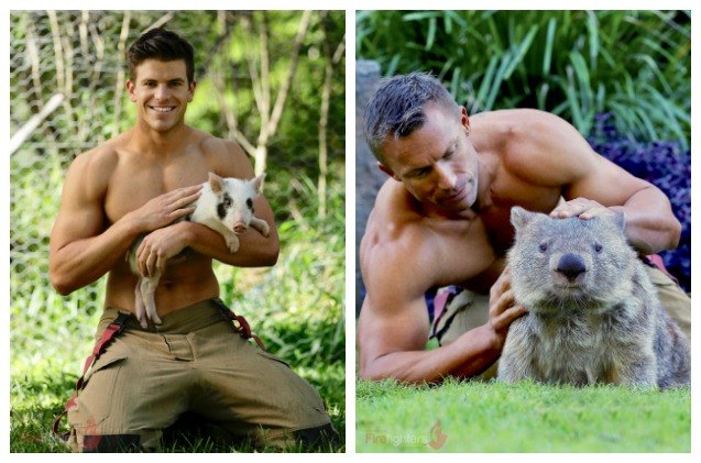 Hot Australian Firefighters Heat Up International Scene For Animal Cha | PetGuide Hot Australian Firefighters Heat Up International Scene For Animal Cha | PetGuide