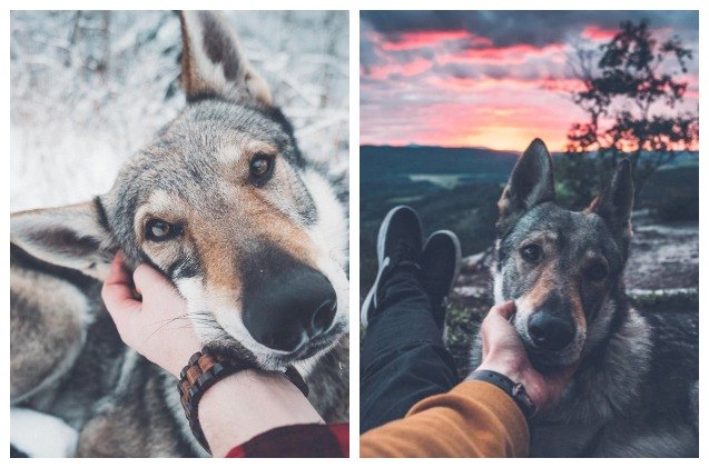 stunning photos show simplicity of life with the love of a dog