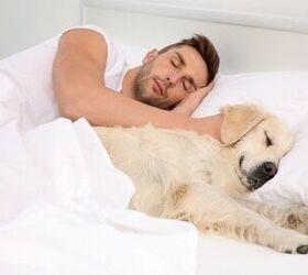 Sleeping With Pets May Benefit Chronic Pain Sufferers