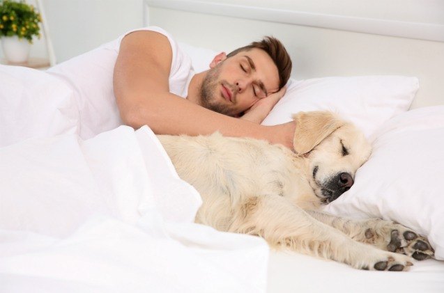 sleeping with pets may benefit chronic pain sufferers