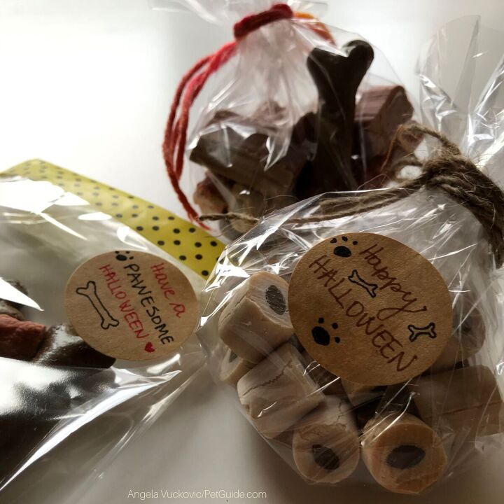 diy halloween party favors for pawesome pups