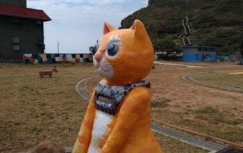 Tiny Taiwanese Town Turns To Kitties For Tourism