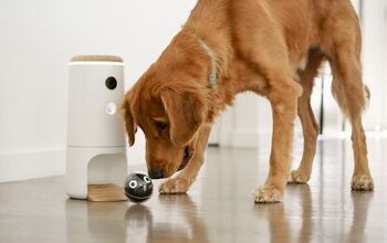 This Cool Startup Promises a Solution for Guilty Pet Parents
