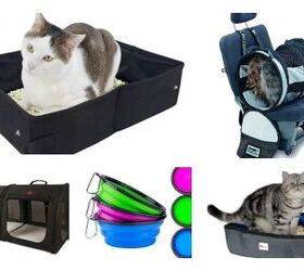 7 Road-Trip Essentials That Make It Easier to Travel With Your Cat