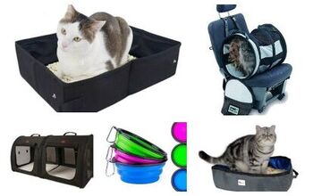 7 Road-Trip Essentials That Make It Easier to Travel With Your Cat