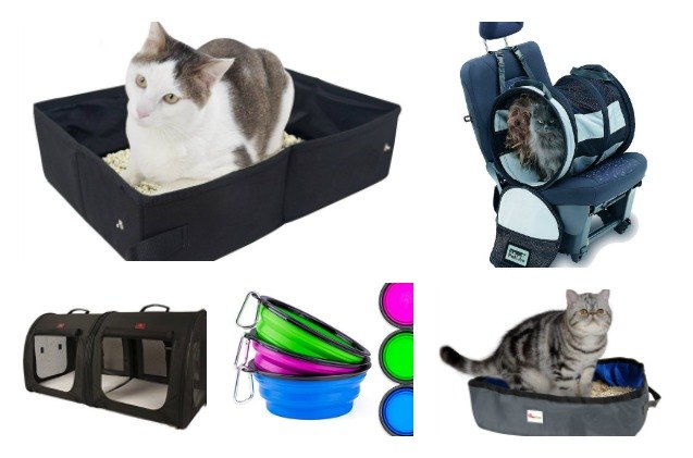 7 road trip essentials that make it easier to travel with your cat