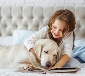 Study Shows Owning a Pet as a Child Leads to Career Success