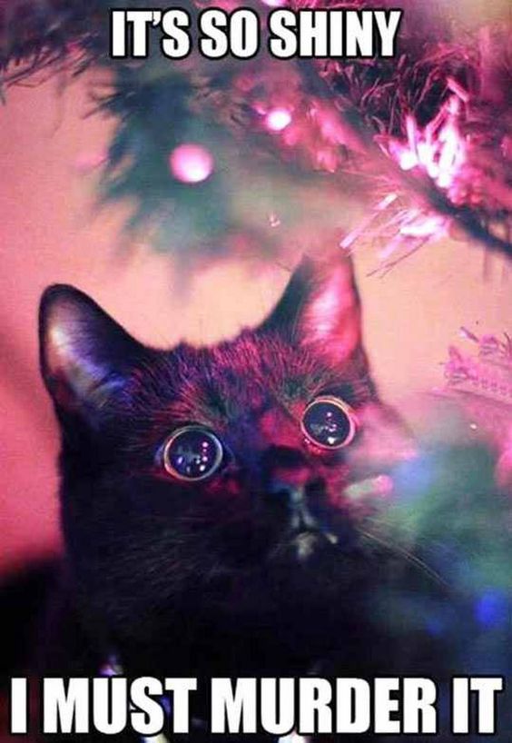 this genius pet proof christmas tree will make cat owners jolly