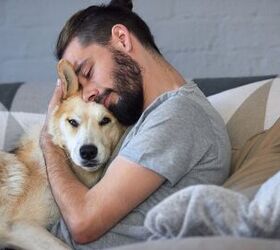study shows adopting a pet could help with depression symptoms