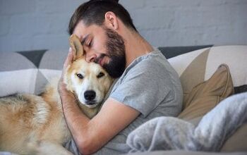 Study Shows Adopting a Pet Could Help With Depression Symptoms