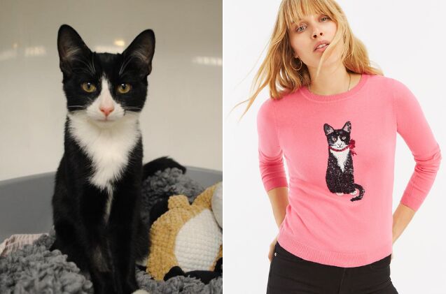 clothing brand features former rescues to raise awareness for furballs in need