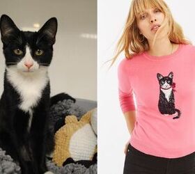 Clothing Brand Features Former Rescues to Raise Awareness for Furballs