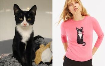 Clothing Brand Features Former Rescues to Raise Awareness for Furballs