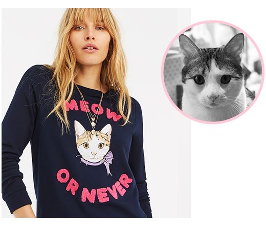 clothing brand features former rescues to raise awareness for furballs