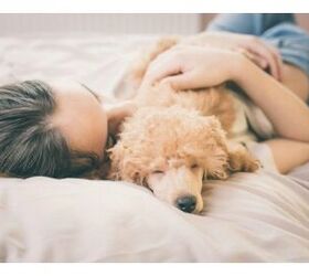 Researchers Believe Dogs Help Women Sleep Better