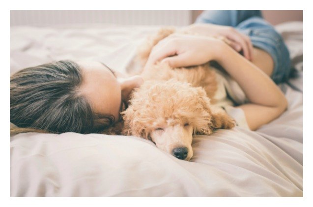 researchers believe dogs help women sleep better