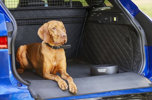 jaguar releases an exclusive line of pet products perfect for pampered pooches