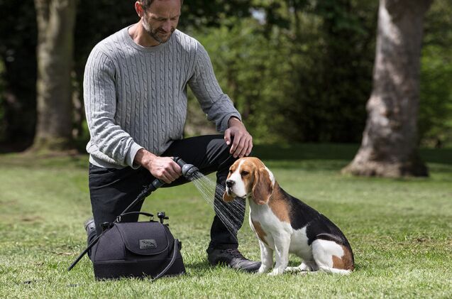 jaguar releases an exclusive line of pet products perfect for pampered