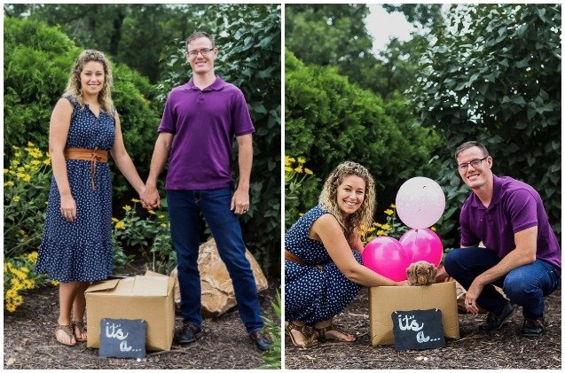 puppy reveal parties are the latest way to announce a new addition