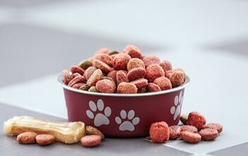 New Generations of Pet Owners Are Ditching Cheap Pet Food Brands for P