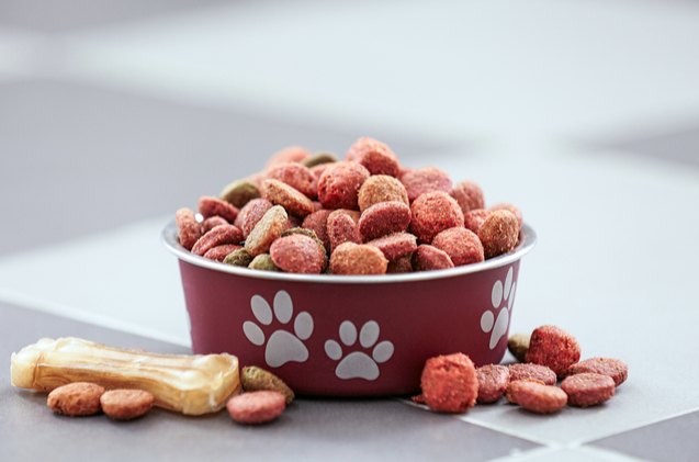 new generations of pet owners are ditching cheap pet food brands for p
