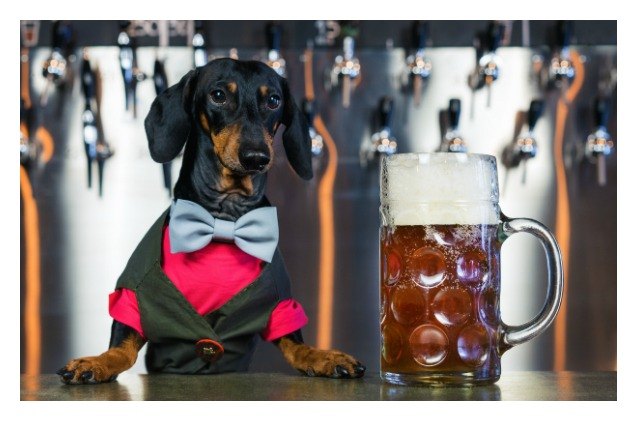 new jersey state senate wants you to take your dog for a brewski