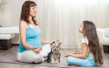 The Benefits of Dog Meditation