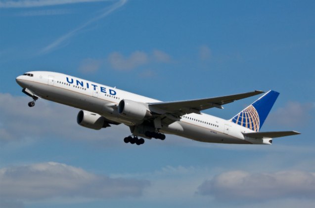 only dogs and cats allowed on united airlines flights