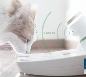 this ai powered cat food bowl uses face id to stop kibble thieves