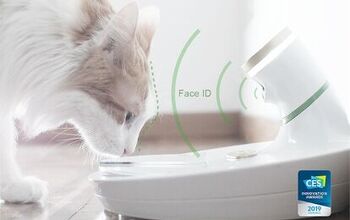 This AI-Powered Cat Food Bowl Uses Face ID to Stop Kibble Thieves